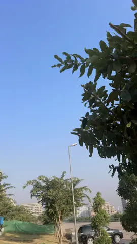 Comments mai btai sb #sidkibegum 