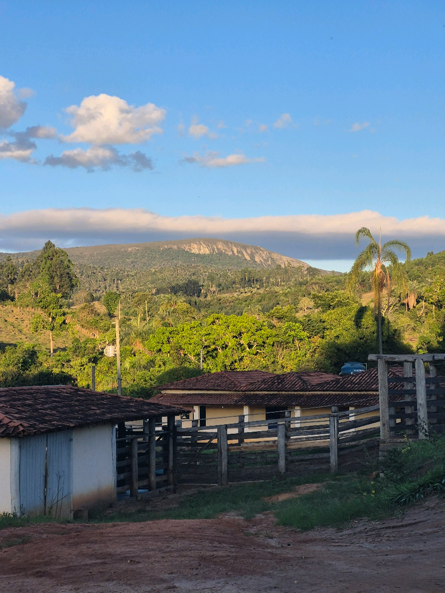 #brutaromantica❤️‍🔥 #fyyyyyyyyyyyyyyyy #minas  #leitel#rocaafazenda 