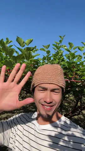 พาเที่ยวอากาศหนาวๆนี้ ชมต้นอะไรเอ๋ย #ความสุขของโลก 