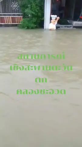 #ป้ายยาtiktok #น้ำท่วมชะอวด #ฟีต #เทรนด์วันนี้ 