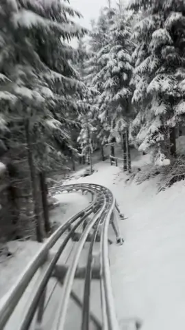 جورجيا🇬🇪😎..#باكورياني #جورجيا🇬🇪 #fyyyyyyyyyyyyyyyy #fyp 