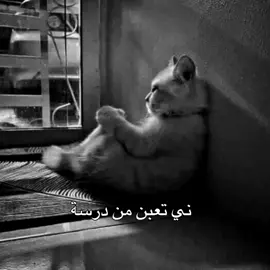 مو فكرتي+الموسيقى الي بالڤيديو حلال⬜!!  باجر عندي امتحان فيزياء ورياضياتتتتت واني للان اسخت😞.  #دراسة #تعبن #منها 