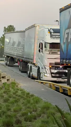 Mornings🤌🏼#fortheloveoftrucks🛣🚛 #volvo520globetrotter #mufasa #aanvaarenbedaar @Young trucker 