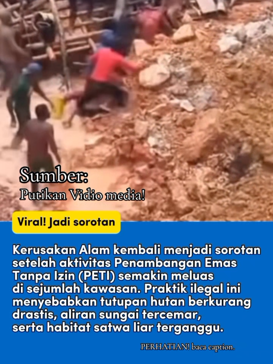 Kerusakan Hutan Akibat Maraknya PETI: Ancaman yang Perlu Kita Sadari Bersama Aktivitas Penambangan Emas Tanpa Izin (PETI) yang marak di beberapa wilayah terus memberikan dampak nyata terhadap kondisi hutan. Pembukaan lahan tanpa aturan, penggunaan alat berat, hingga pembuangan limbah ke sungai menyebabkan perubahan besar pada ekosistem yang sebelumnya stabil. Secara ekologis, PETI mengakibatkan berkurangnya tutupan vegetasi, meningkatnya risiko erosi, dan rusaknya habitat satwa liar. Selain itu, penggunaan bahan kimia seperti merkuri juga berdampak pada kualitas air, yang pada akhirnya dapat memengaruhi kesehatan masyarakat sekitar. Dari sisi sosial, masyarakat berada pada posisi rentan. Di satu sisi, sebagian warga menggantungkan ekonomi pada kegiatan penambangan liar, namun di sisi lain mereka juga merasakan dampak kerusakan lingkungan yang semakin luas. Kondisi ini menunjukkan pentingnya pendekatan yang lebih manusiawi dan terukur dalam penanganan PETI. Upaya penanggulangan tidak hanya bergantung pada penegakan hukum. Edukasi kepada masyarakat, penyediaan alternatif mata pencaharian, serta pemulihan kawasan yang rusak menjadi langkah penting agar kerusakan tidak terus meluas. Kolaborasi antara pemerintah, masyarakat, dan pihak terkait dapat menjadi kunci untuk menjaga hutan tetap lestari. Dengan pemahaman yang lebih baik, diharapkan semua pihak dapat melihat masalah ini secara utuh: bukan hanya sebagai pelanggaran hukum, tetapi sebagai isu lingkungan dan sosial yang perlu ditangani bersama demi keberlanjutan alam dan kehidupan generasi mendatang. #SelamatkanLingkungan  #CegahPETI  #HutanUntukGenerasi  #EdukasiLingkungan  #PeduliAlam 