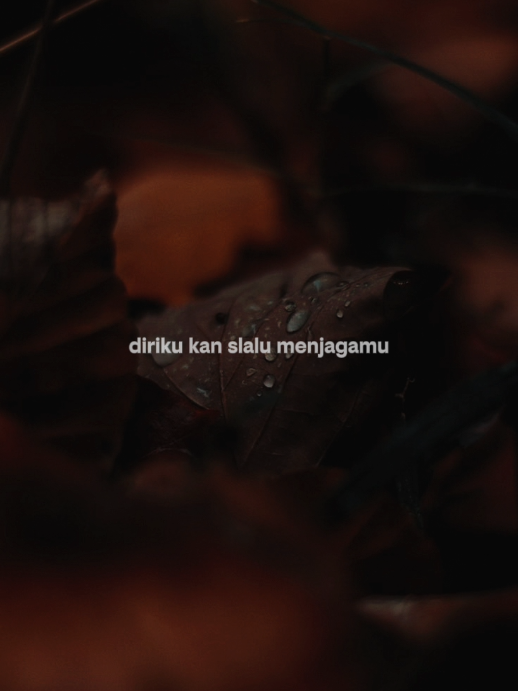 hidupku kan damaikan hatimu🔥🤏 #overlay #templatelirik 