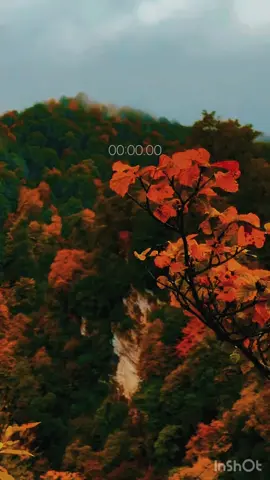 زیکرەکان#الحمدالله #الله_اكبر #استغفرالله #foryou #ئەکتیڤبن 