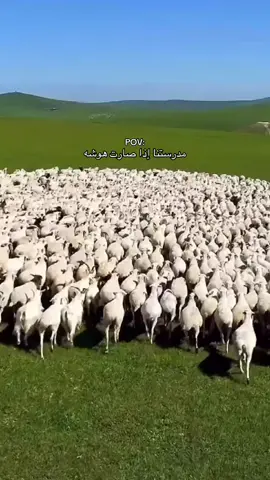 مصخره الصراحه🙃#الشعب_الصيني_ماله_حل😂😂 #اكسبلورexplore 