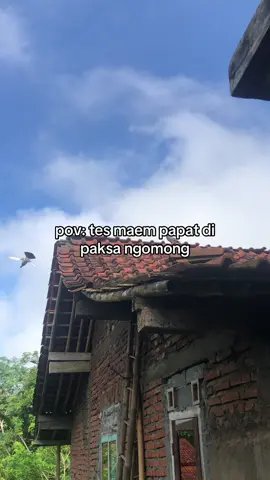 angell #fypage #cilacapngapak #foryou #masukberanda #cilacap24jam 