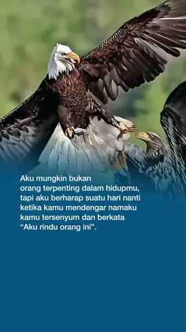 Assalamualaikum  #CapCut #Analia_erana #storytime #kata #foryoupage❤️ 