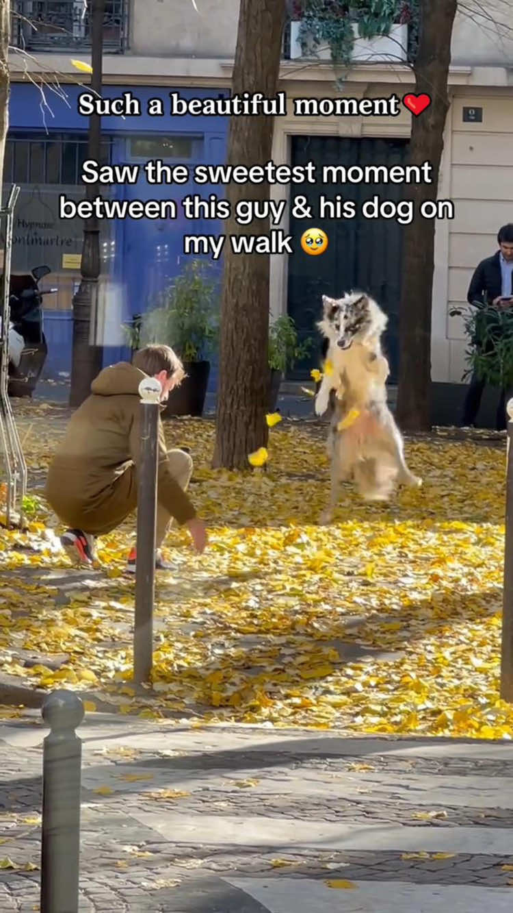 POV: Some moments deserve to be remembered forever.#dog#doglove#wholesome#doglover#fyp