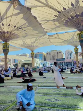 #মদিনার_পাগল🕋🕋🕋🤲🤲🤲 #সাপোর্ট_করলে_সাপোর্ট_পাবে 