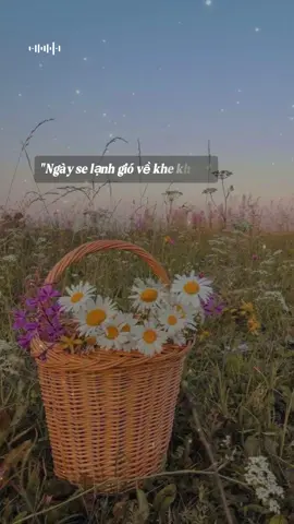 Gió lạnh đang về rồi ạ#gocnhinyeuthuong #muadong #giolanh #xh#lanh 