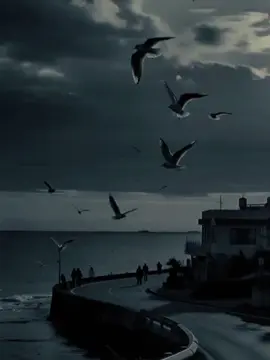 #CapCut #dianastemplate #foryou #fypage #quotes 