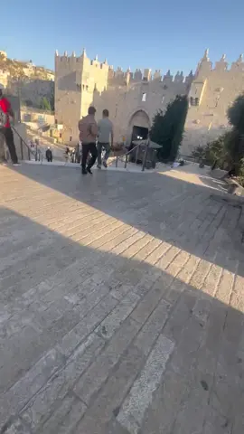 #تصويري_احترافي_الاجواء👌🏻🕊😴 #viraltiktok #ترندات_تيك_توك #CapCut #capcutvelocity 