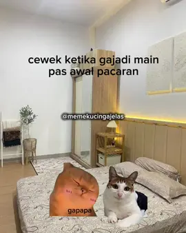 ngeri🤣#memekucing #catmeme #memecat #pov #fyp 