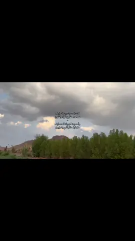 كنت أحسبك بين النوايف✨🤍#fyyyyyyyyyyyyyyyyyyy #شيلات 