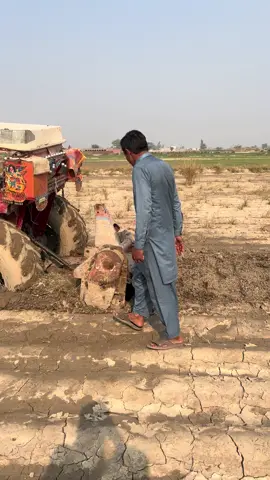 #izharkharal #nankanasahib #newforyouvideo 