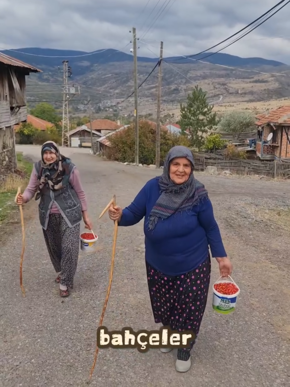 sizce de öyle değil mi?