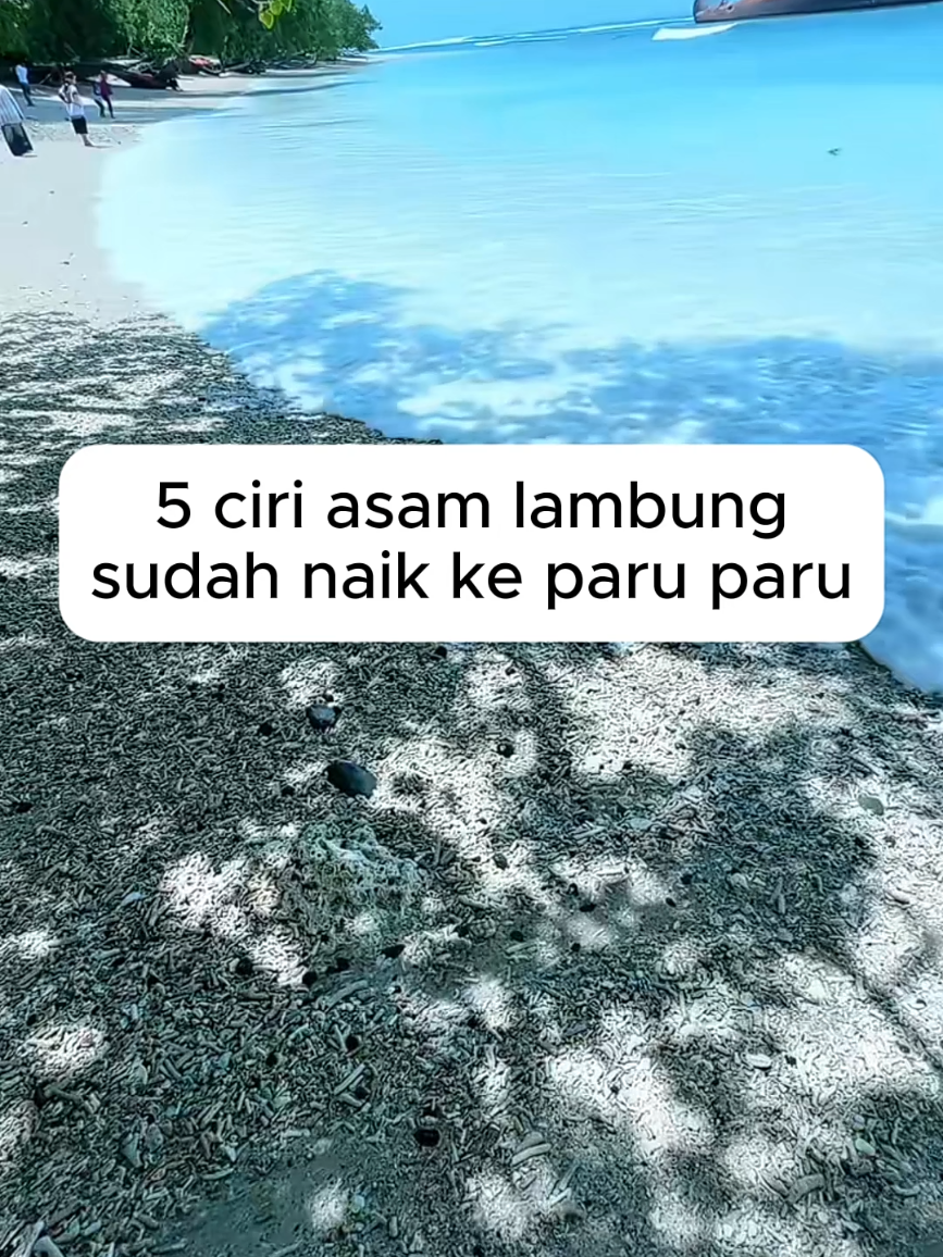 Ciri asam lambung sudah naik ke paru paru, segera atasi! #lambungsehat #pejuangasamlambung #sembuhasamlambung #lambungceria 