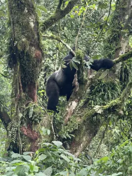 Ohhh MY GOD what a wonder 