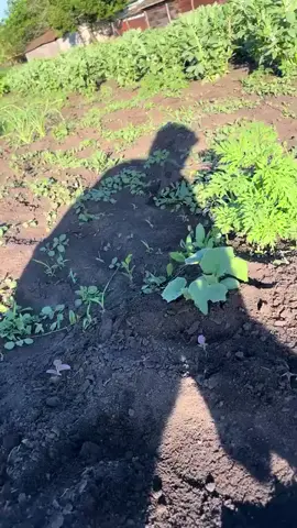 sore yang cerah😭💃🏻