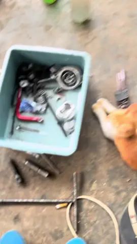 dereng saget ngramekne ngapuntene🙏#rpmj #irengdop 