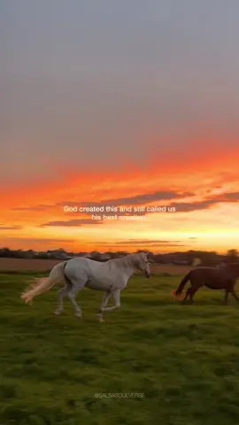 God created all this and still called us his best creation. #fyp #foryoupage #viral 