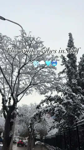 #شعب_الصيني_ماله_حل😂😂 #سطيف_العالي_ٱخاالي #سطايفية_لحرار_ولاد_عامر_لحرار #setif #ثلج_ثلج_عم_شتي_الدني_ثلج 