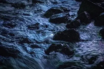 никогда - незабудки & элли на маковом поле | мой тгк в описании #рекомендации #lyrics #песня #незабудки #эллинамаковомполе 