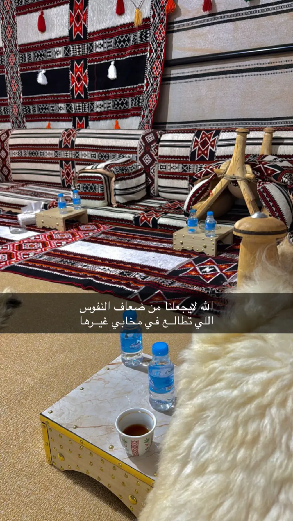 #اكسبلور #fyp #foryou #tiktok #viral  سنابي 👈🏼 (shihan_1416)