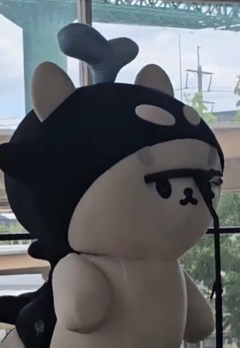 Ẻm tròn zo như cục trôi nước nhma giọng thì phải cao đụng nóc =))))) #polcasan #polcasan🐳 