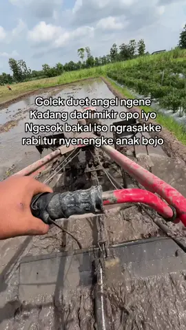 Soko wong tuo ne di eman, basan milu dewe ngrasakke nelongsone#fypage #magetan24jam #teammadangmaidobayaran #petanimudaindonesia🇮🇩 #teamngiwomadang 