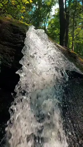 #fyp #quran #quranrecitation #nature 