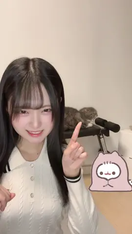 猫さん半目で寝てるのか起きてるのか？🤷‍♀️ @泉綾乃（サブ垢） さんがつけて下さった手振りです！🙌🏻