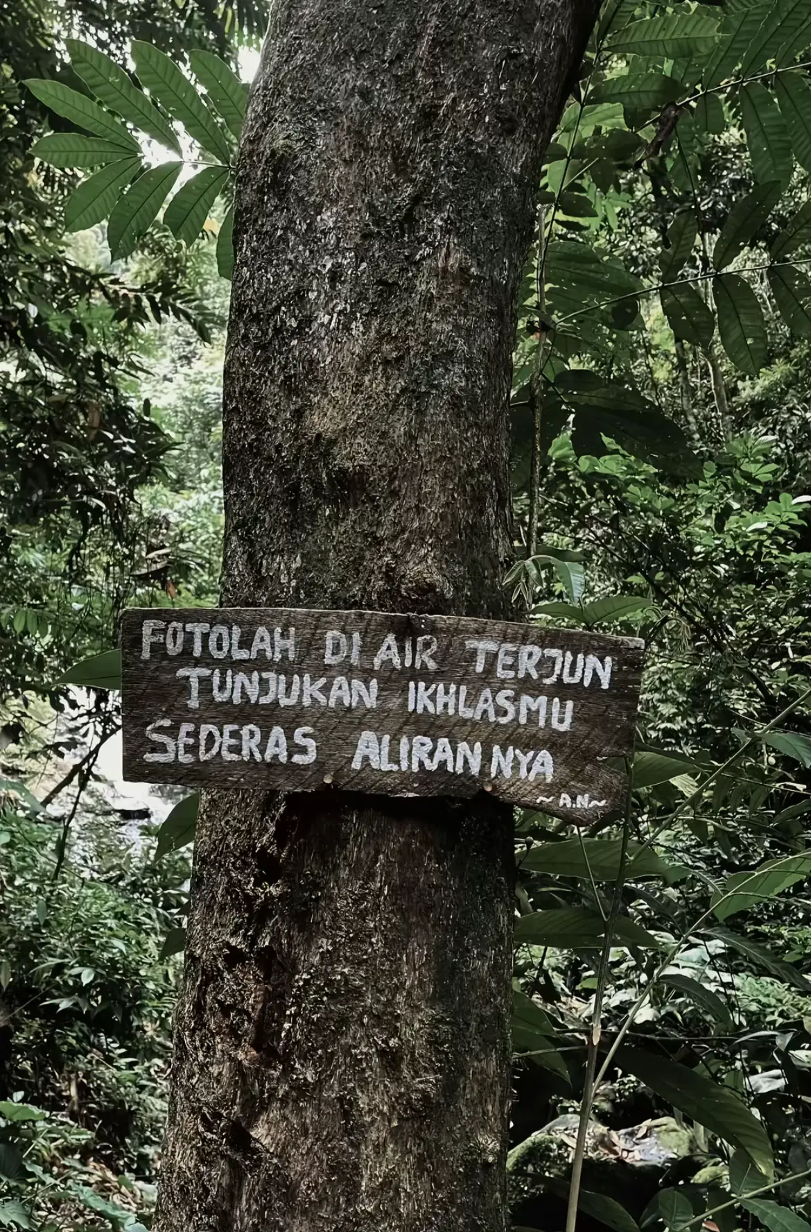 #fyp #curug #fyppppppppppppppppppppppp #tracking #waterfall 