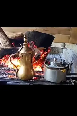 قصايد #شيلات #خواطر #شعر 