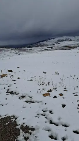 #sètif#الثلج_والبرد #❄️ 