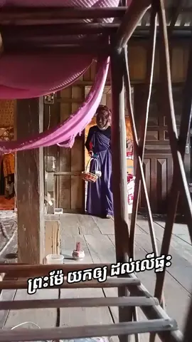 អ្នកមើល បាននៅ😭🫶🏻@Daim Sreytouch 🛍🛒 #wow #christmas #time #fun #fypp 