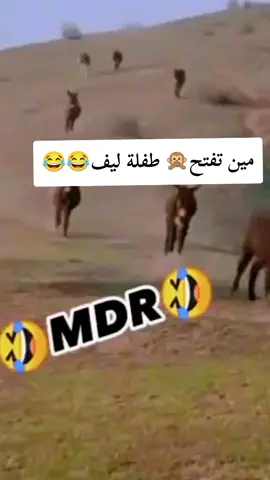 طفلة فاتح ليف😂#😅 