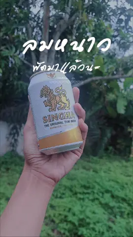 อบอุ่นร่างกาย ลมหลาวววว#CapCut  #ฟีดดดシ 