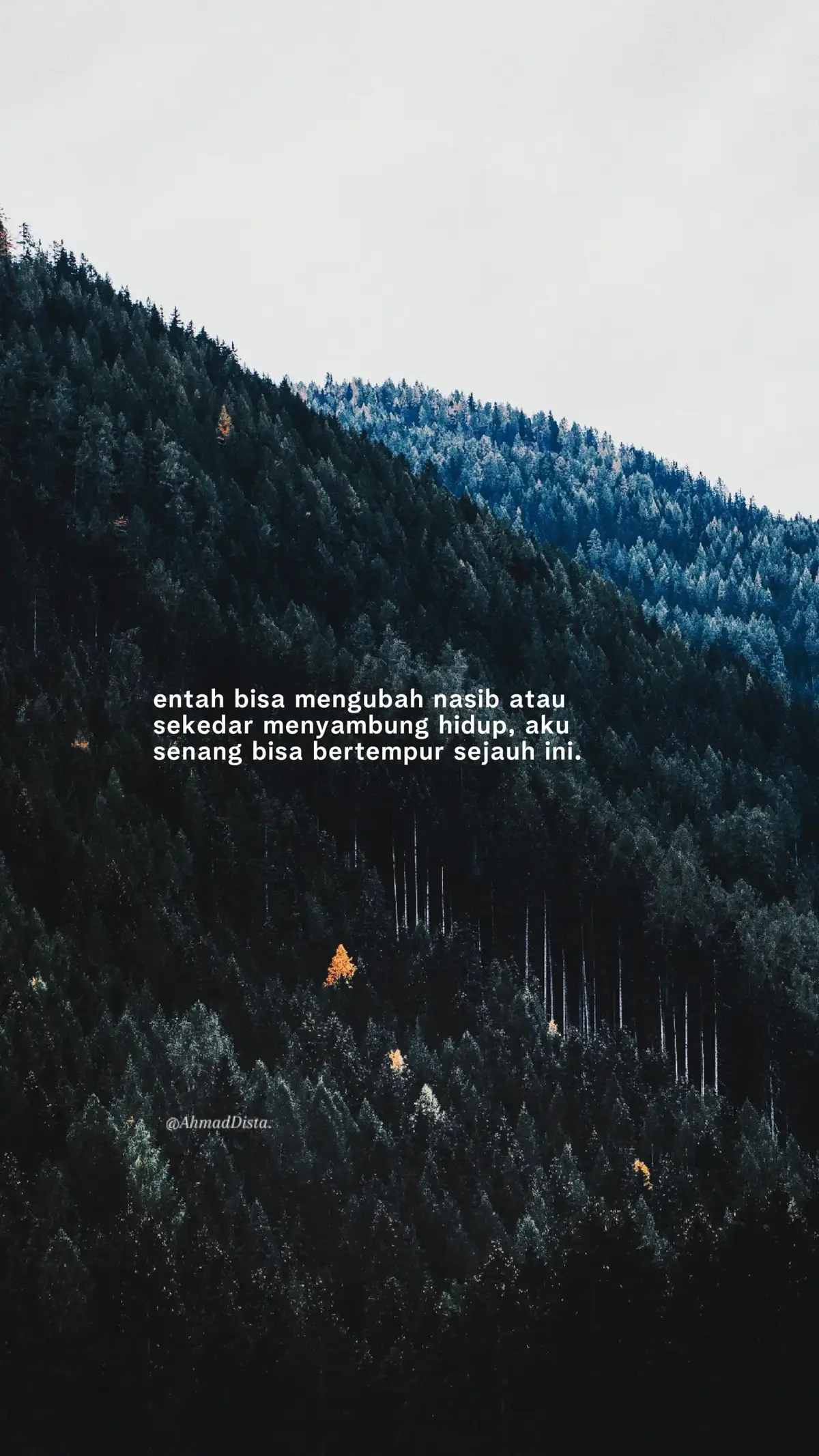 Bahan-bahan📝: 200 gram tepung terigu protein sedang 1 butir telur 150 ml air 100 ml susu cair  5 sendok makan gula pasir (bisa disesuaikan dengan selera) ½ sendok teh soda kue ½ sendok teh ragi instan ½ sendok teh vanila esens ½ sendok teh garam Margarin secukupnya Topping📝: 1.Margarin secukupnya Susu kental manis secukupnya. 2.Meses coklat secukupnya Keju cheddar parut, secukupnya. Cara membuat🥢: 1.Campurkan telur, 3 sendok gula pasir, garam, vanila esens, serta soda kue, kocok menggunakan whisk hingga semua bahan tercampur rata.  2.Masukkan terigu, air, serta ragi instan, kocok kembali semua adonan hingga tercampur rata dan setelah itu istirahatkan adonan selama ± 30 menit. 3.Panaskan teflon dan olesi dengan margarin secukupnya. Lalu tuangkan adonan martabak manis ke dalam teflon. Ratakan hingga ke pinggiran teflon untuk berikan lapisan tengah pada ujung-ujung martabak. Tutup teflon. 4.Ketika martabak sudah setengah matang, buka teflon dan taburi martabak dengan 2 sendok gula pasir atau bisa disesuaikan dengan selera.Tutup kembali teflon dan masak lagi hingga martabak matang sempurna. 5.Angkat martabak yang telah matang dari teflon, olesi dengan margarin secukupnya pada semua permukaan martabak. Untuk topping, taburi martabak dengan meses coklat dan parutan keju, kemudian siram dengan susu kental manis secukupnya. 6.Setelah diberikan topping, martabak bisa dipotong menjadi dua bagian dan ditumpuk saling menutup satu sama lain dan potong martabak manis sesuai selera. Martabak manis teflon siap disajikan. Selamat menikmati & selamat mencoba!!! #katakata #4u #storytime #xzyabc #fyppppppppppppppppppppppp 