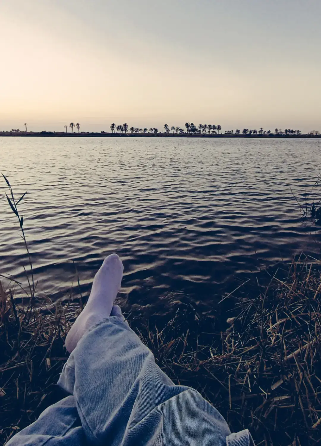 روح الله وياك خليني انساك..؟🩶 . #البصره_شط_العرب  #سمير 