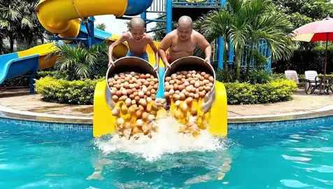 Hùng chồn đổ trứng xuống bể bơi troll capybara #veo3 #ai #capybara #xuhuong 