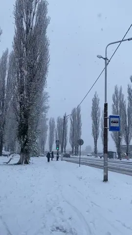 #зима #пинск #рекомендации #беларусь 