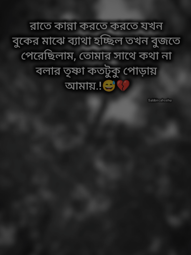 #sabbircahcchu #সাব্বিরচাচ্চু 