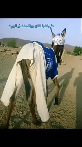 الهلال والفتح #الهلال #دوري_روشن_السعودي #ضحك 