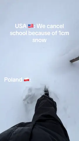 #winter #polandtiktok #fpy  #dc #snow 
