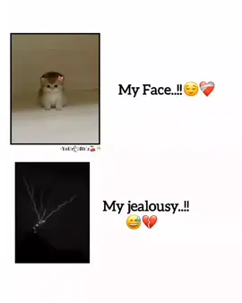 My jealousy😅💔 ‌ ‌ ‌ ‌ ‌ ‌#tiktok #viralvideo #foryou #foryoupage #fypシ @For You @TikTok @TikTok Bangladesh 