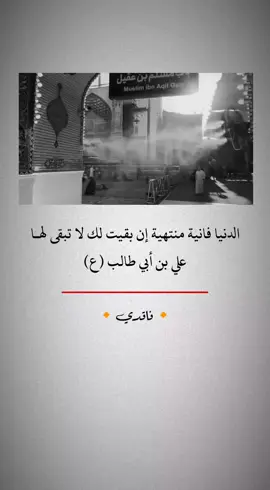 #قال_الامام_علي_عليه_السلام🤏🏻💔 #صدقت_يامولاي_أميرالمؤمنين #الدنيه_فانيه 