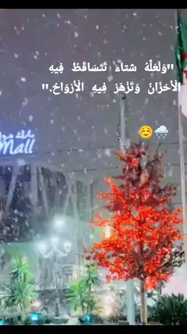 #سطيف #🌨️🌨️🌨️🌨️🌨️🌨️🌨️🌨️🌨️🌨️ #🥰 #سطيف_العالي_ٱخاالي 
